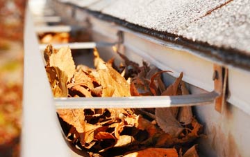 White Oak gutter cleaning companies