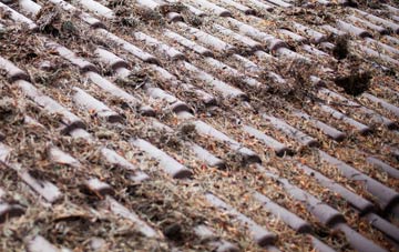 White Oak roof cleaning companies